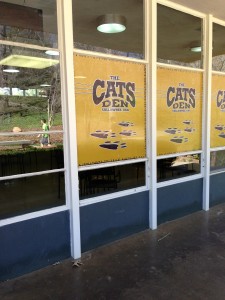 Fun and games at the Cat’s Den leisure center