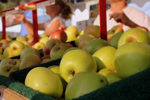 Ottanola Farms Apples