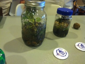 Tiny ecosystems in jars presented by ECOCats. Photo by Jessica Swink