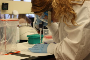 Ashely Dameron working in the DNA sequencing lab. Photo by Calvin Inman.