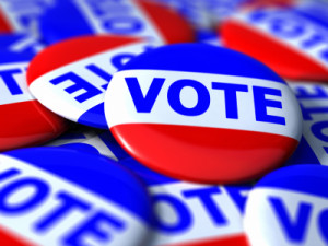 Elections 2020: Republican runoff for NC 11 is today
