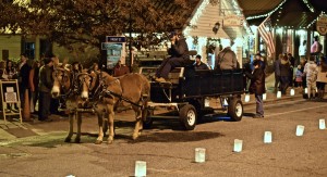 Horse and carriage ride around the town was the most popular item at the Dillsboro Lights and Luminaires, Dec. 2, 2016. Photo by Chris Lang.