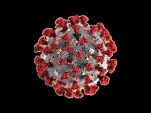 Coronavirus cases mount in Jackson County
