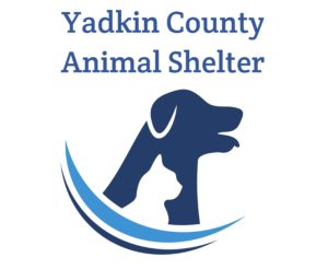 Animal shelter experiencing changes during pandemic