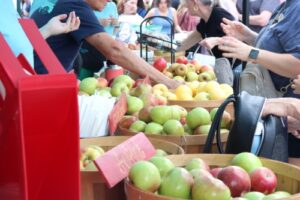 Apple Festival boosts tourism in Hendersonville
