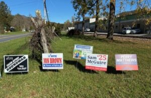 Whee Life: 2025 municipal election recap