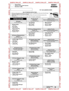 Voter fatigue: What to know before you vote