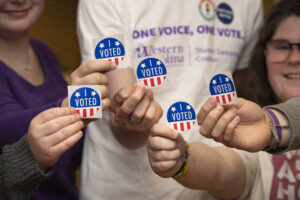 Whee Life: What you need to know about the early voting, security of your vote and research the candidates